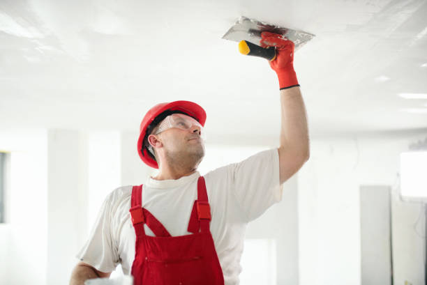 Best Drywall Removal and Disposal  in Bolivar, MO